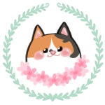 꽃냥 | 스토리  꽃냥