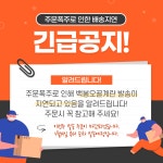 백봉설원(영월백봉오골계농장) | 작가 피드