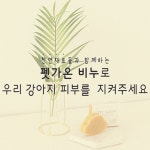 펫가온(Pet Gaon) | 스토리  펫가온(Pet Gaon)