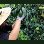 석희농장 | 작가 피드