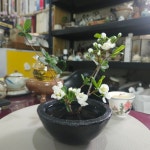 봄의향기 도자기수반/다화꽂이 수반 /찻자리/식탁 | 아이디어스 봄의향기 도자기수반/다화꽂이 수반 /찻자리/식탁