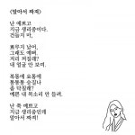 최예지 | 스토리  최예지