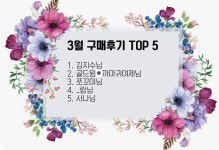 다바크 | 작가 피드