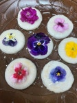 무료배송🌸꽃향기 화전반죽🌸예쁜 찹쌀떡부침개 꿀뿌려요 [원산지... 무료배송🌸꽃향기 화전반죽🌸예쁜 찹쌀떡부침개 꿀뿌려요 [원산지... 