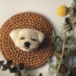 가든공방 | 판매중인 작품 가든공방