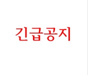 백봉설원(영월백봉오골계농장) | 작가 피드