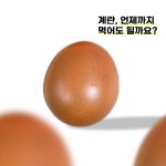 미래팜스 | 작가 피드