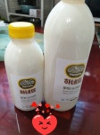 [하네뜨목장] 깨끗한 플레인 요거트 500ml | 아이디어스 [하네뜨목장] 깨끗한 플레인 요거트 500ml