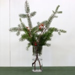 크리스마스나무 생화-더글라스 | 아이디어스 크리스마스나무 생화-더글라스