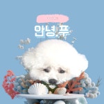 안녕,푸 | 작가 피드