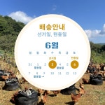 참샘골유정란 작가 피드 | 아이디어스