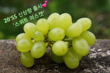 제이앤페리 | 스토리  제이앤페리