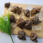 다이버수산 | 스토리  다이버수산