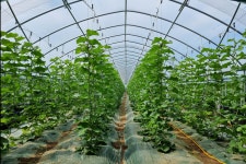 푸른농장수신멜론 | 클래스 푸른농장수신멜론