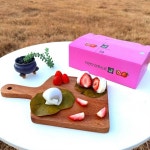 의령망개떡 상큼달콤 생딸기망개떡 10개입 | 아이디어스 의령망개떡 상큼달콤 생딸기망개떡 10개입