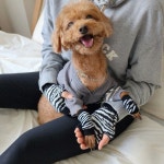 멍집사 세트_Black chic | 아이디어스 멍집사 세트_Black chic