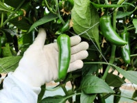 은성농장 | 피드 은성농장