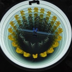 나비정원 | 작가 피드