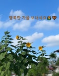 다우랑 | 작가 피드 다우랑