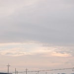 담스티치(dam.stitch) | 프로필 담스티치(dam.stitch)