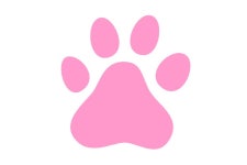 러비퍼피 | 구매후기 러비퍼피