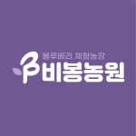 비봉농원 블루베리 체험농장 | 판매중인 작품 비봉농원 블루베리 체험농장
