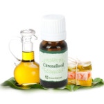 시트로넬라오일 10ml 2개 | 아이디어스 시트로넬라오일 10ml 2개