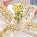 마음담은집특별한서프라이즈 꽃나무 용돈박스 | 아이디어스 마음담은집특별한서프라이즈 꽃나무 용돈박스