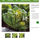 샐러드채소 주은농장 | 작가 피드 샐러드채소 주은농장