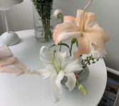 오로지Oh,Rosie | 작가 피드 오로지Oh,Rosie