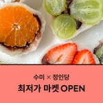 [수미X정인당] 과일모찌🍓생과일찹쌀떡 두바이모찌 [원산지:작품정보참조] | 아이디어스 [수미X정인당] 과일모찌🍓생과일찹쌀떡 두바이모찌... 