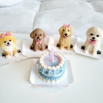 달달한댕 미니 강아지케이크 한입케이크 | 아이디어스 달달한댕 미니 강아지케이크 한입케이크