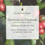 베이스온테이블 | 작가 피드