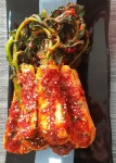 🔵농부 총각김치(사랑해요) 1kg🔵 농장 직거래 | 아이디어스 - 핸드메이드, 수공예, 수제 먹거리 🔵농부 총각김치(사랑해요) 1kg🔵 농장 직거래