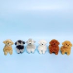 🐾푸들 비숑 말티푸 강아지 전신인형🐶주문제작가능 | 아이디어스 🐾푸들 비숑 말티푸 강아지 전신인형🐶주문제작가능