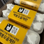 백봉설원(영월백봉오골계농장) | 작가 피드