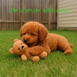 설앤스튜디오 | 작가 피드