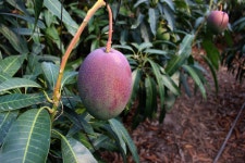 석희농장 | 작가 피드