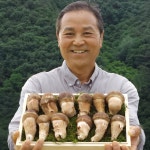 충남 천안 송인천 농부의 참송이버섯 | 아이디어스 아이디어스