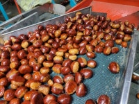 충남부여 만석이네농장 | 피드 충남부여 만석이네농장