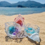 [1+1할인]🌊바다 소라 캔들 티라이트 홀더🌊오브제 | 아이디어스 [1+1할인]🌊바다 소라 캔들 티라이트 홀더🌊오브제