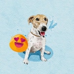 7월이벤트💕반려동물 수채화 일러스트 드로잉 그림선물 | 아이디어스 7월이벤트💕반려동물 수채화 일러스트 드로잉 그림선물