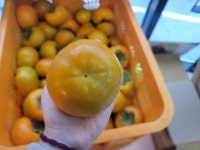 창원 가화농원 (농장지기 김형근) | 작가 피드