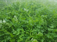 순창 가이아농장(농부 김기열/전명란) | 스토리  순창 가이아농장(농부 김기열/전명란)