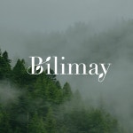 빌리메이(BILIMAY) | 구매후기 빌리메이(BILIMAY)