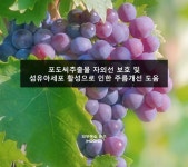 명경수청혈유액