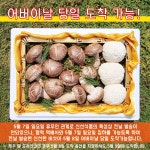 버섯꽃피다농원 | 작가 피드
