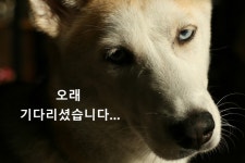 향기만드는가게 | 스토리  향기만드는가게
