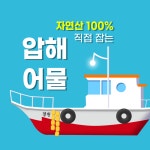 목포 압해어물(창원호 선주) | 판매중인 작품 목포 압해어물(창원호 선주)