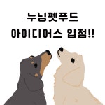 누닝펫푸드 | 작가 피드